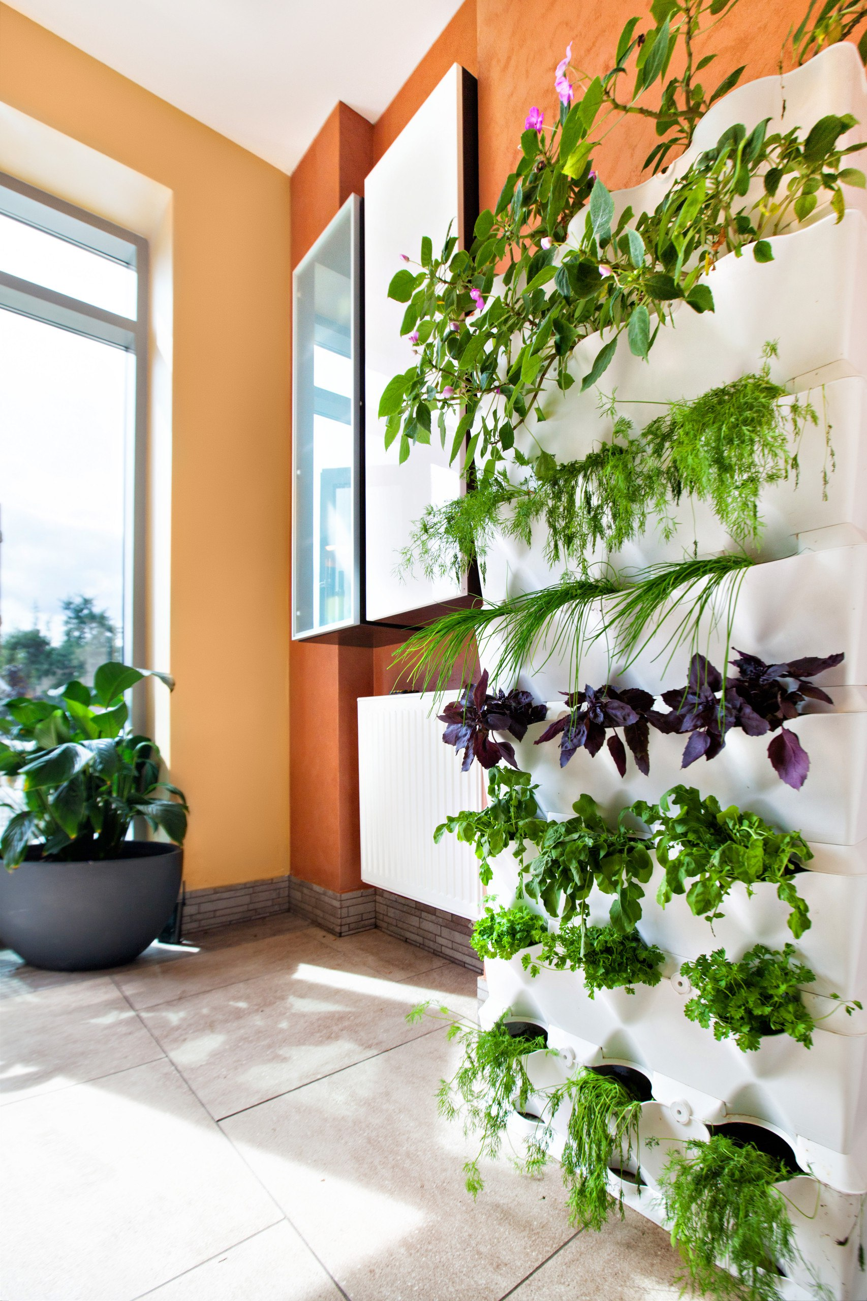 Банки на любой вкус: как получить быстрый кредит без hassle? Банки на любой вкус: как получить быстрый кредит без hassle?