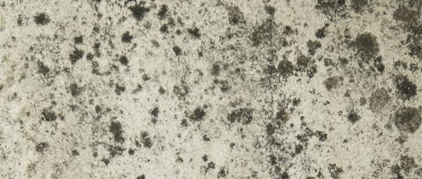 Кредитные карты и бонусные программы: как получить максимум