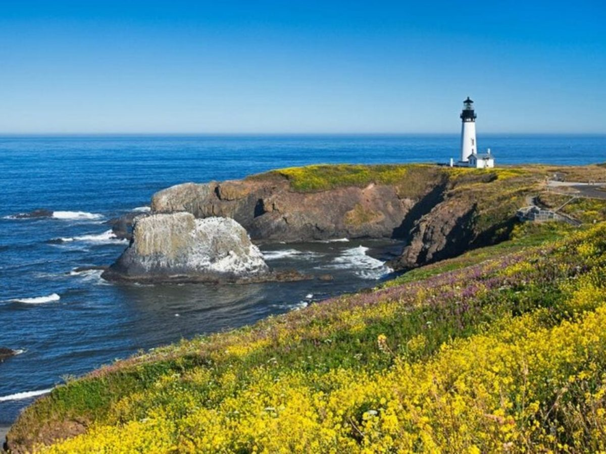 Советы по получению кредита без справок: избежать ошибок и подводных камней