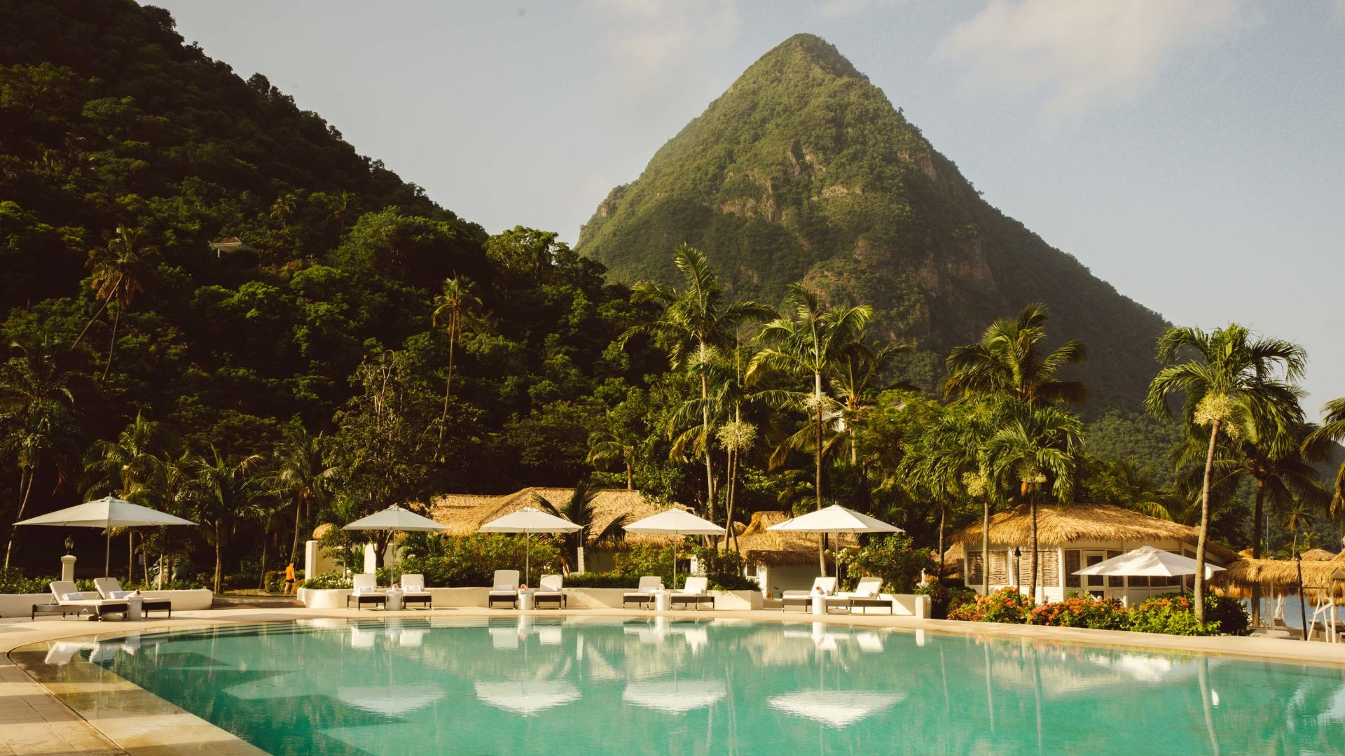 Тарифы и условия кредитных карт: как выбрать лучшее предложение?